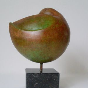 Slapende eend, brons.